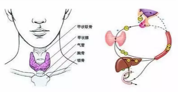 微信截圖_20191210133958.png