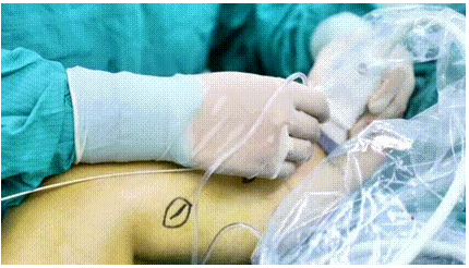 1750042424035.jpg